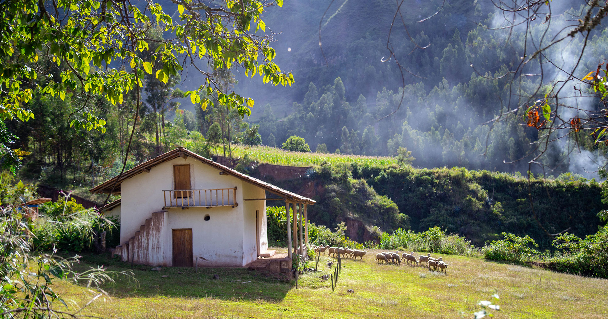 MUNICIPALIDAD DE SARTIMBAMBA