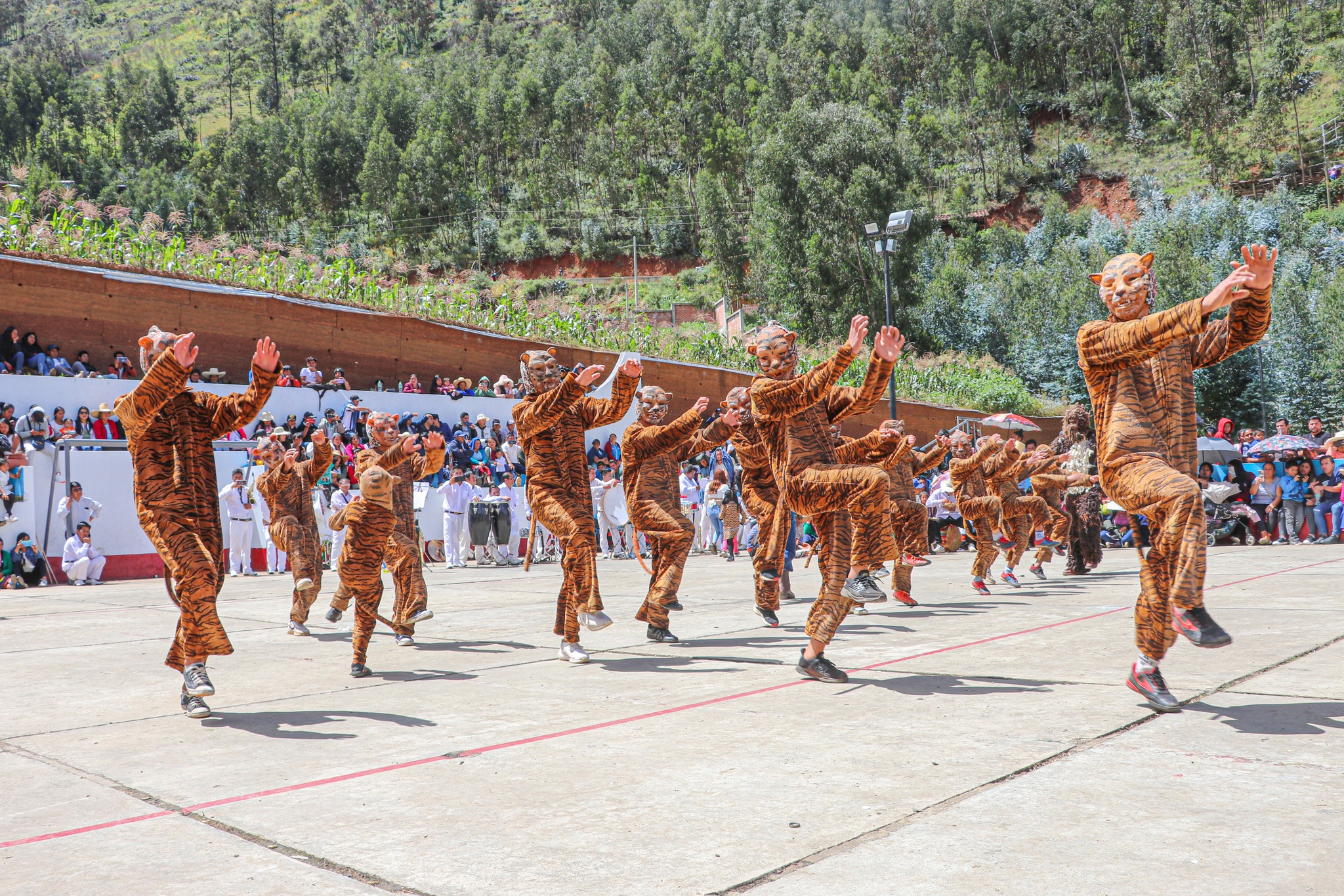 MUNICIPALIDAD DE SARTIMBAMBA